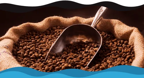 Coffee Beans FAQs: An Expert Guide