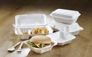 Bagasse Biodegradable Food Container - Clam Shell Deli Boxes x 50