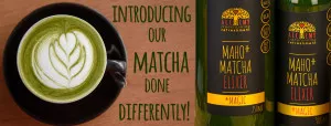 Alchemy Maho Matcha Elixir - 750ml (small image 2)